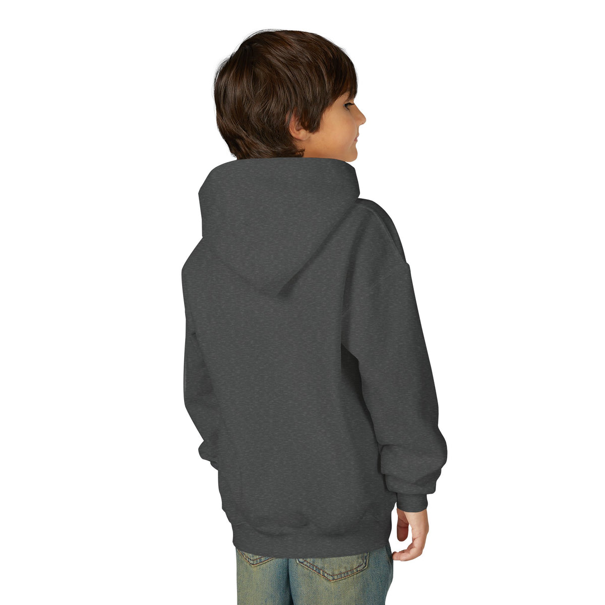 Youth Hoodie — "Lion of Judah, He Has Triumphed" Christian Lion Graphic