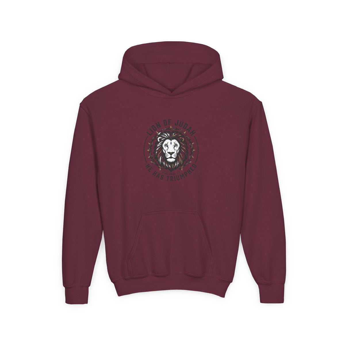 Youth Hoodie — "Lion of Judah, He Has Triumphed" Christian Lion Graphic