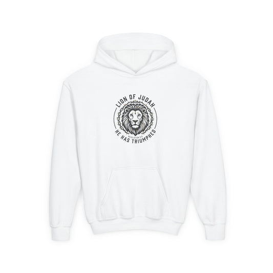 Youth Hoodie — "Lion of Judah, He Has Triumphed" Christian Lion Graphic