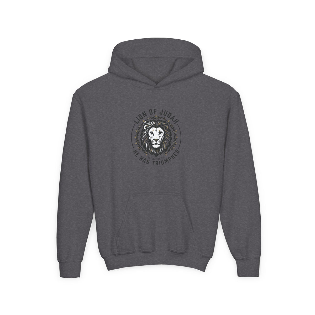 Youth Hoodie — "Lion of Judah, He Has Triumphed" Christian Lion Graphic