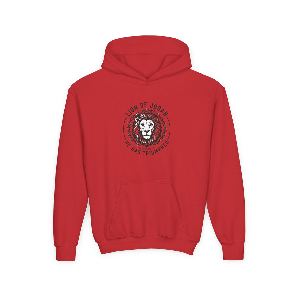 Youth Hoodie — "Lion of Judah, He Has Triumphed" Christian Lion Graphic
